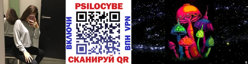 магазин Любим Псилоцибиновые грибы Cubensis