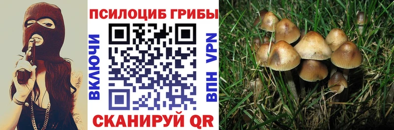 Галлюциногенные грибы прущие грибы Любим
